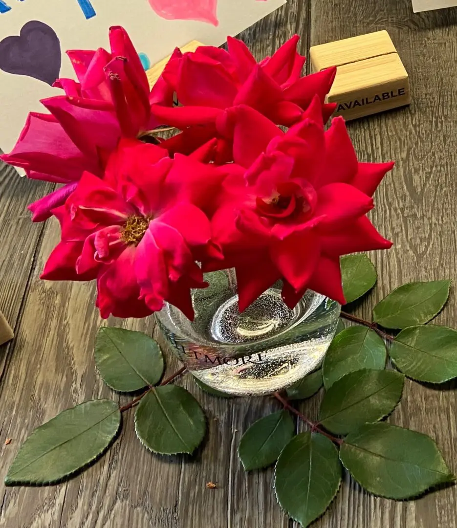 A vase of red flowers on top of a table.